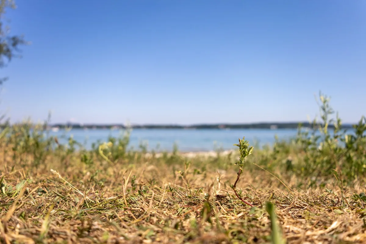 shutterstock_2660683221 Längere Trockenperioden, mehr Starkniederschläge, heissere Sommer
