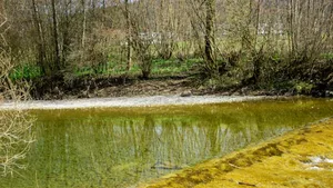 Töss: Überschwemmungen von Siedlungsgebieten sind bei einer nächsten Hochwasserkatastrophe denkbar. Aus diesem Grund ist ein neues Konzept notwendig.