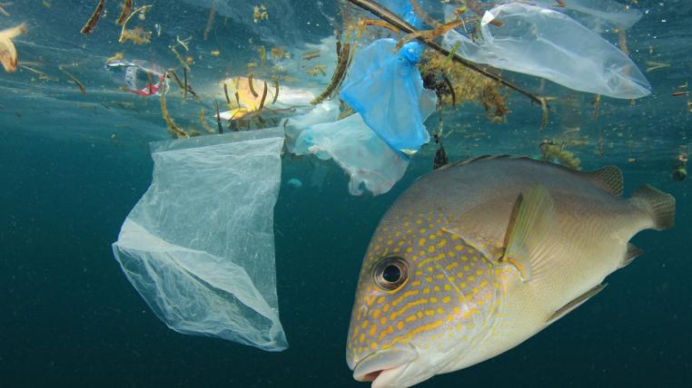 Plastik im Meer