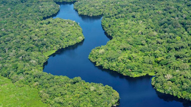 Amazonas in Brasilien nahe Manaus