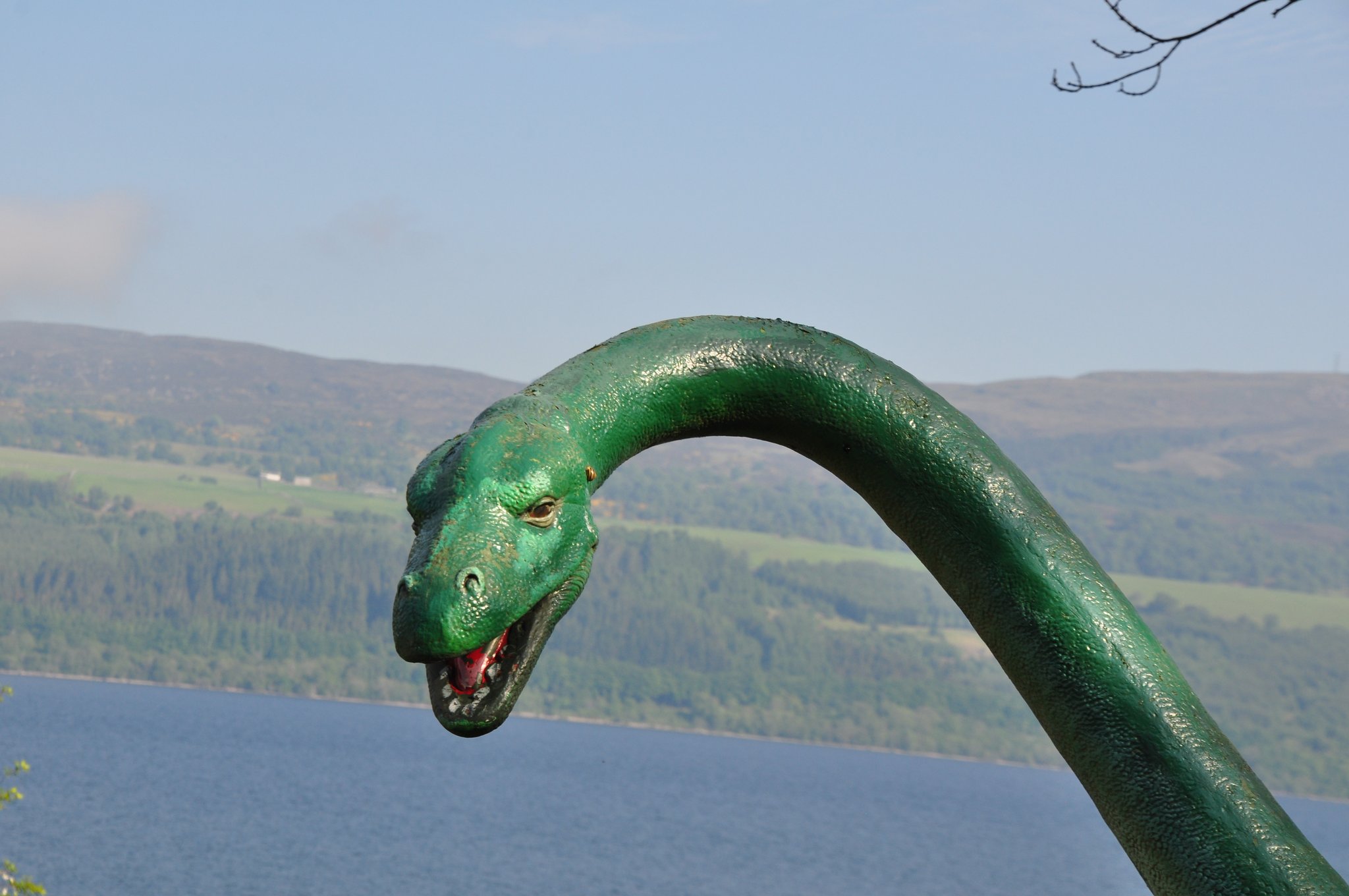 Nessie ist möglicherweise ein monströser Aal