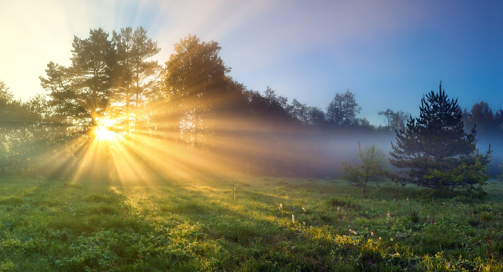 Weshalb braucht der Mensch Vitamin D?