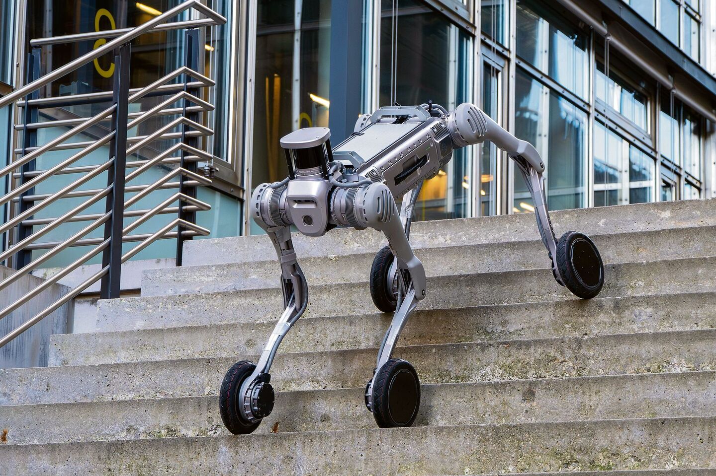 Roboterhund Milo kann nicht nur Treppen bezwingen, sondern sich auch auf die Hinterbeine stellen und seine Vorderbeine wie Arme benutzen.