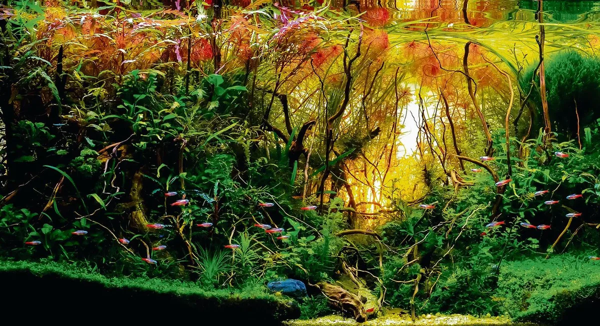 d9b499c17e02cc93263457ecbb7f881be642de83b2037c261edb336f24a208de Das Aquascaping hat stets die Natur zum Vorbild.