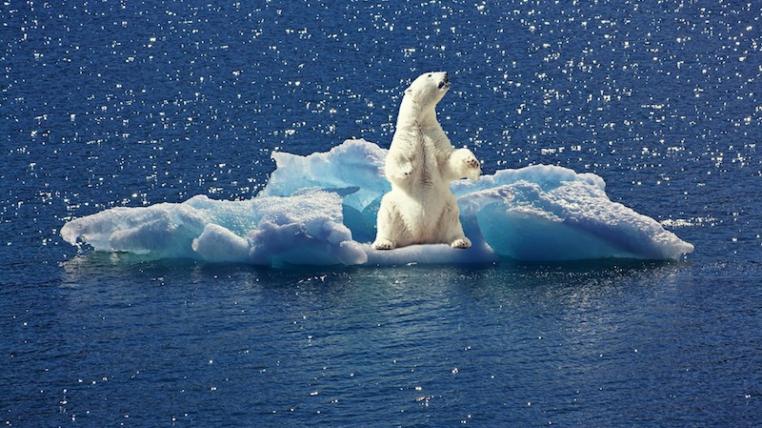 Klimawandel