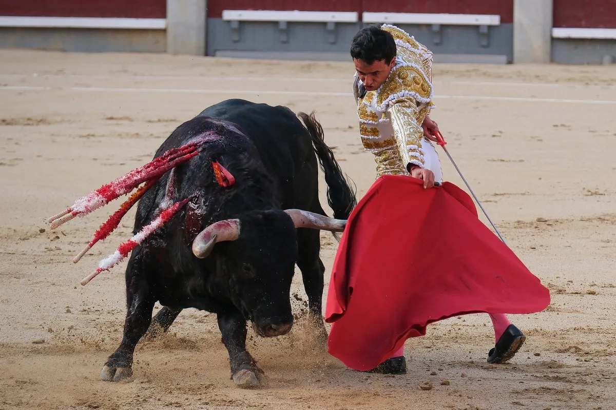 shutterstock_2479972443 Mexiko-Stadt stoppt blutige Stierkämpfe – Mallorca erlaubt Tradition sogar für Minderjährige