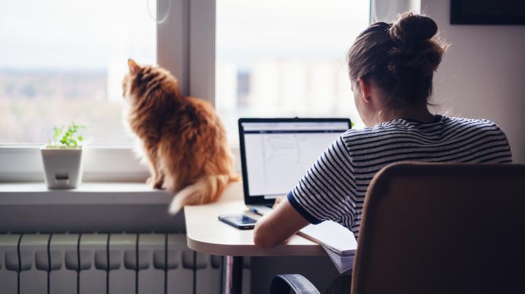 Fraum im Homeoffice mit Katze