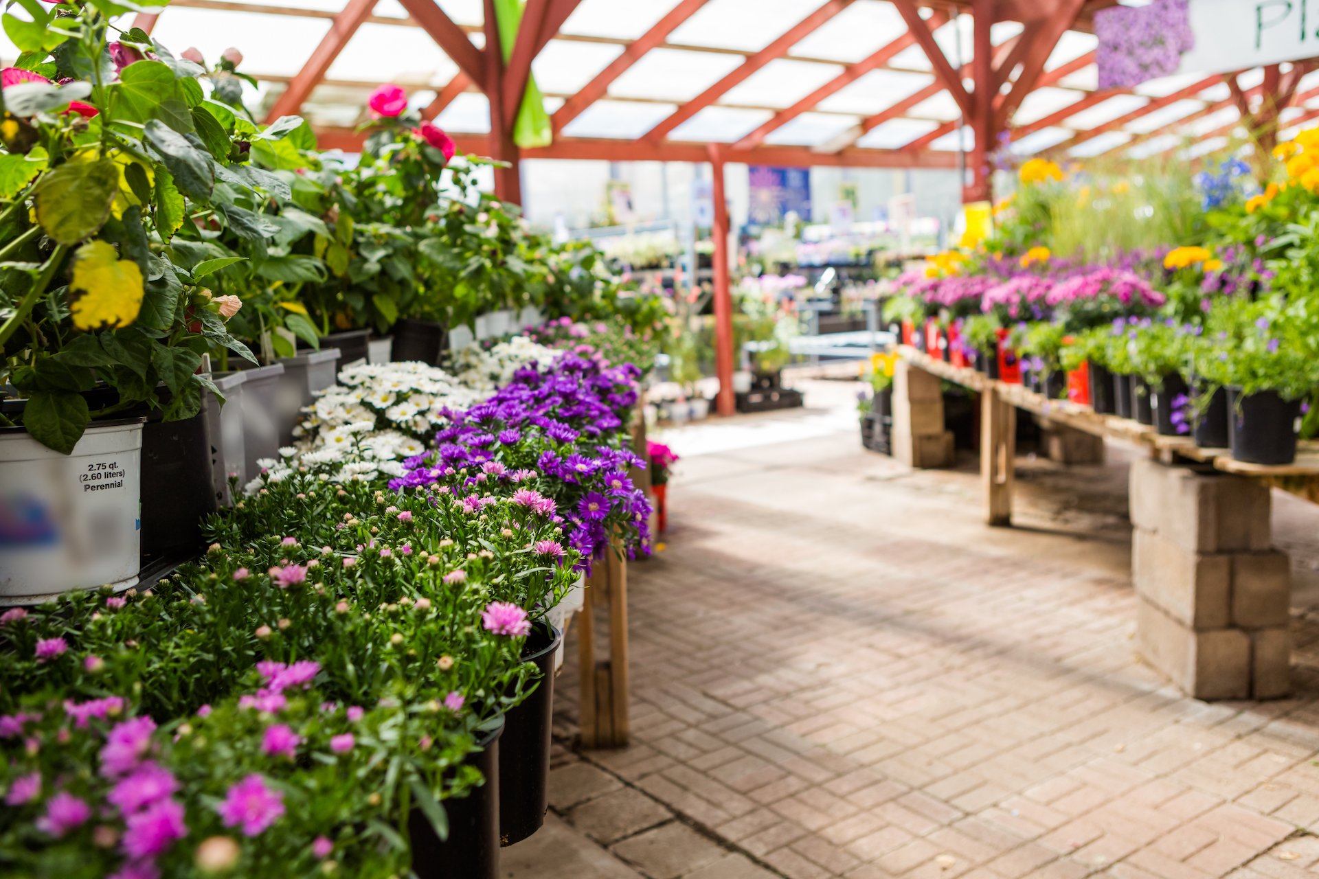 Wie kauft man nachhaltig im Gartencenter ein?