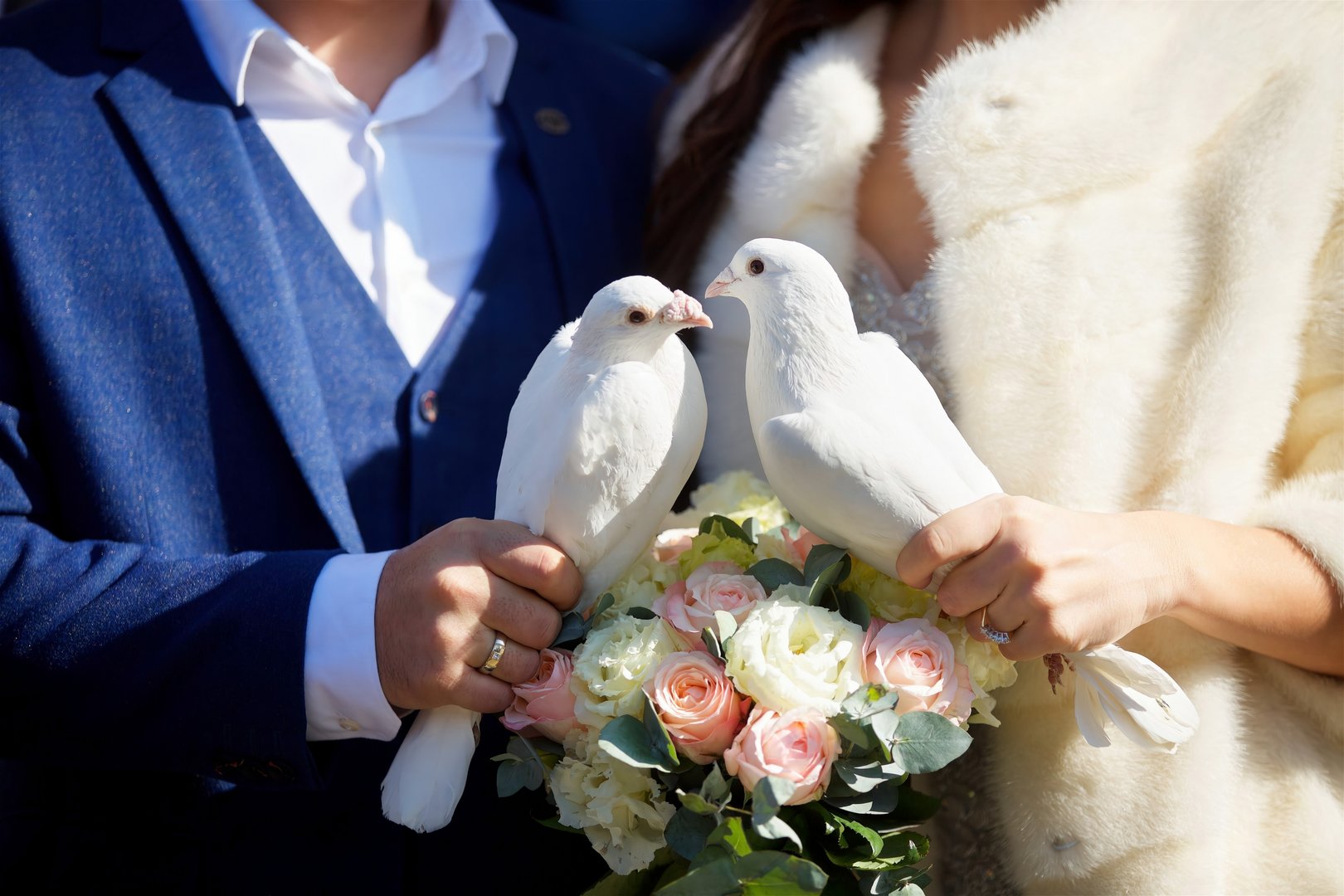 Hochzeitstauben: Warum der alte Brauch in der Schweiz umstritten ist