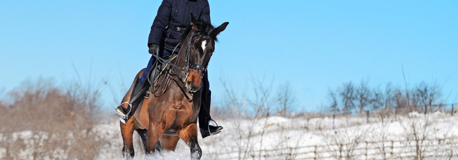 Reiten im Schnee