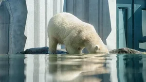 Ein Artensterben in beispielloser Geschwindigkeit, Folgen des Klimawandels, die bereits deutlich sicht- und spürbar seien und unter denen bereits Millionen Menschen leiden – der offene Brief diverser Forscher zeichnet ein dramatisches Bild des Zustands der Welt.