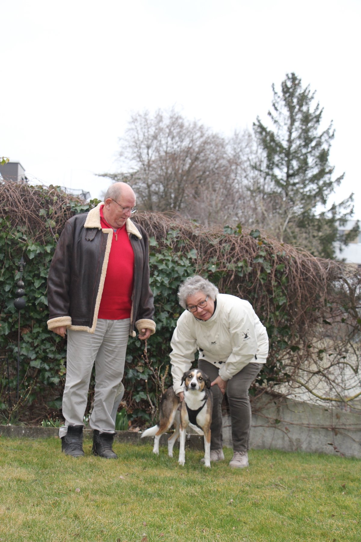«Der Weg zu einem Hund aus dem Heim ist komplex»