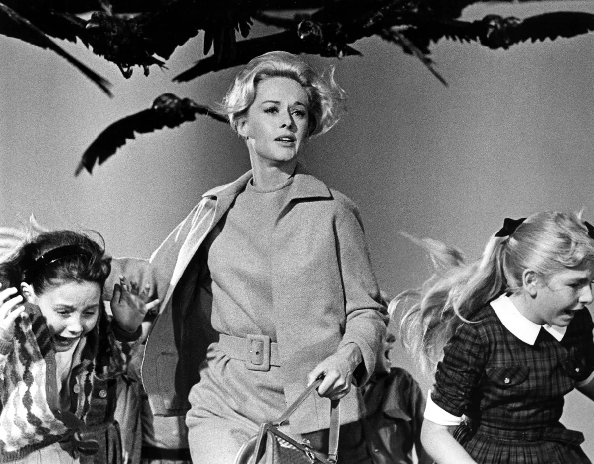 1807_TheBirds_01_Kopie Im Berner Kino Rex faucht, bellt und miaut es auf der Leinwand
