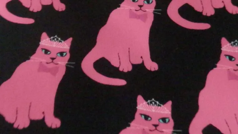 124ea2bc0902816dbde9c60f67237c42ae236fe4 Katzenpink