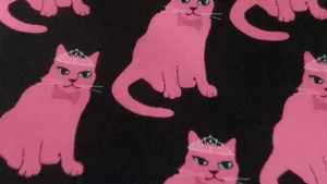 Eine Russin hat ihre Katze mit pinker Farbe einsprayen lassen – jetzt ist das arme Tier tot.