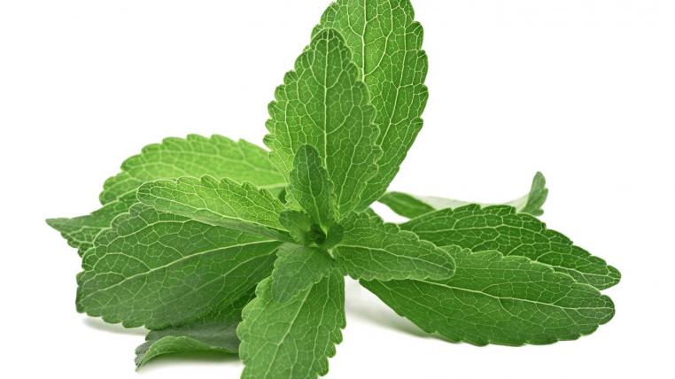 Stevia