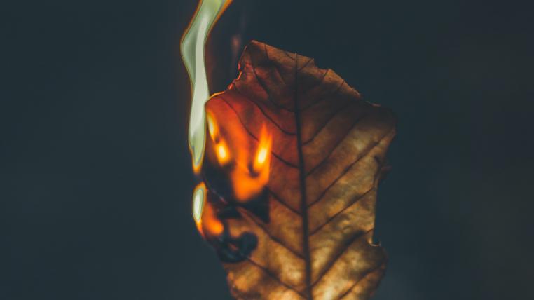 Brennendes Blatt