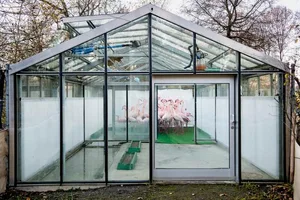 Um sie vor der Vogelgrippe zu schützen, steckte der Tierpark Dählhölzli seine Flamingos in ein Glashaus.