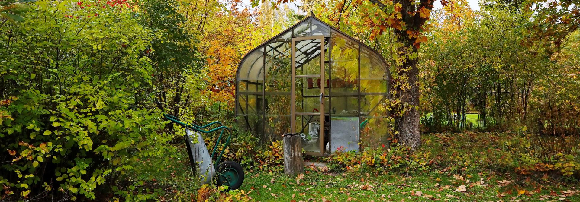 Treibhaus im Herbst