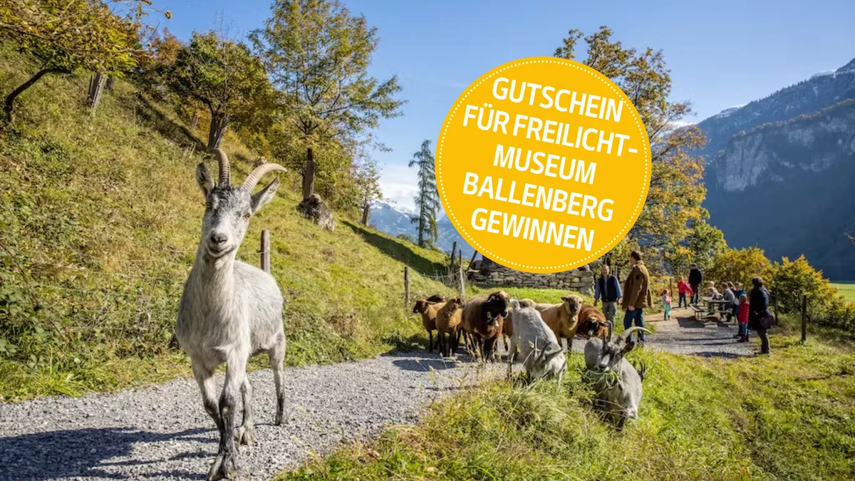 Bild_-_Artikelseite_fu__r_NL_Wettbewerb__3__ballenge Gewinnen Sie einen Gutschein vom Freilicht Museum Ballenberg