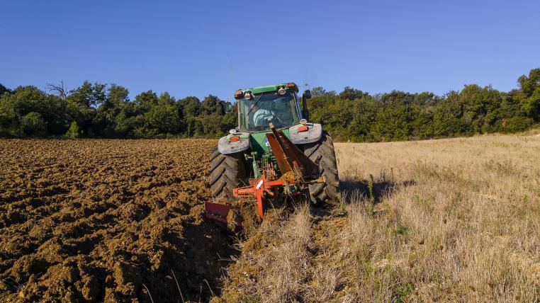 Traktor auf Feld