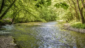 Die Wutach soll möglichst naturbelassen bleiben.