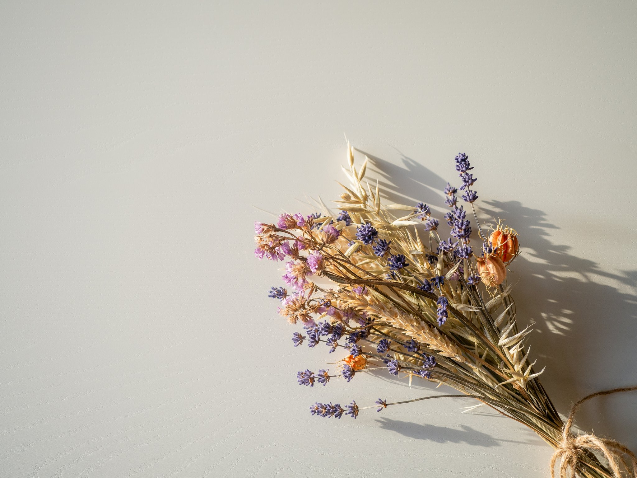 Trockenblumen: Diese Pflanzen eigenen sich besonders gut zum Trocknen