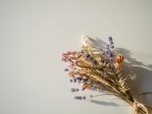 Getrocknete Blumen bereiten lange Freude.