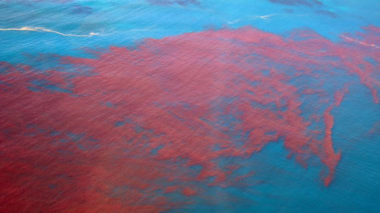 Rote-Tide