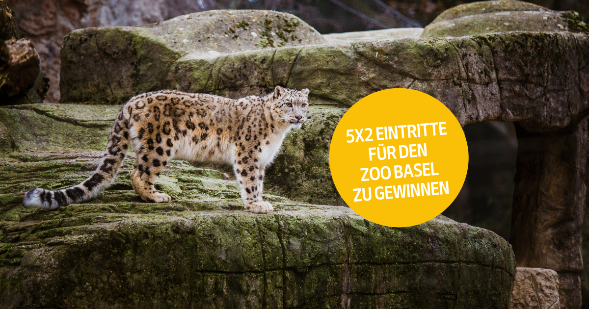 Wir verlosen 5x2 Tickets für Kinder und Jugendliche in den Zoo Basel