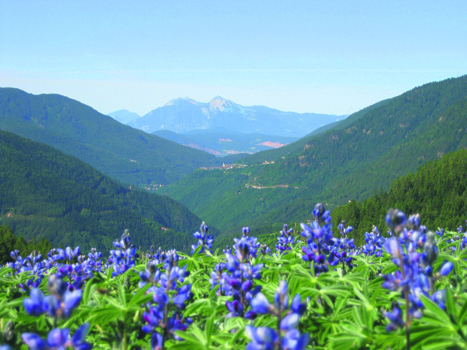 Nachhaltige Pilze statt Äpfel
