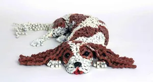 «Maxine», der Cavalier King Charles Spaniel, ist hundemüde.