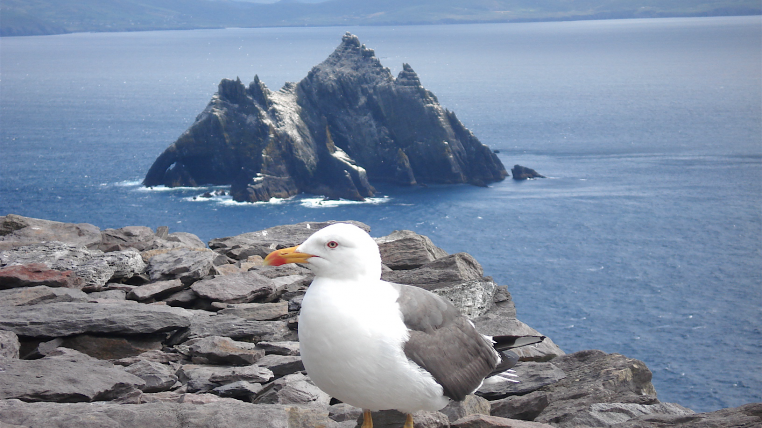 Skellig_Michael.png