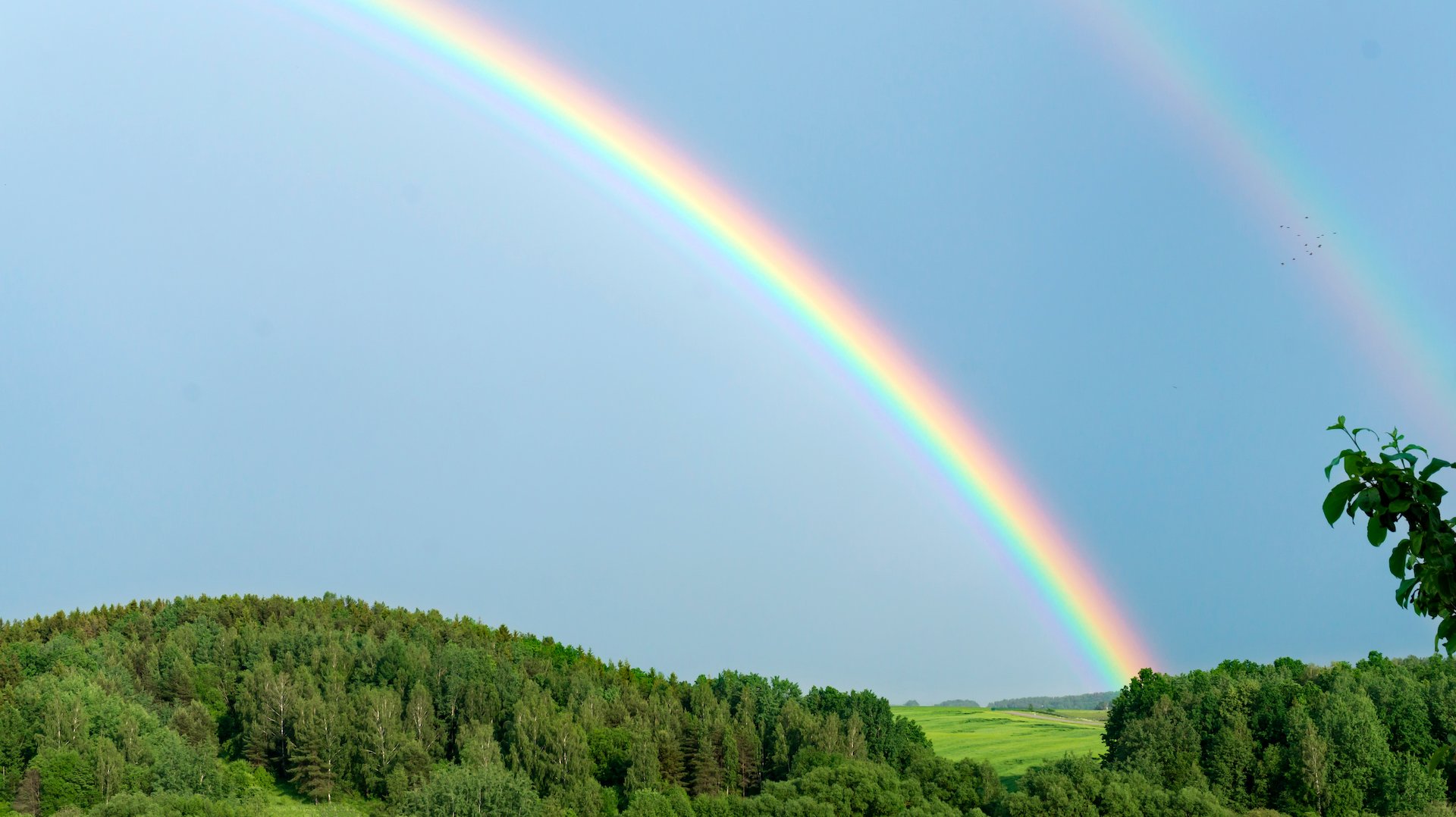 Wie entsteht ein Regenbogen?