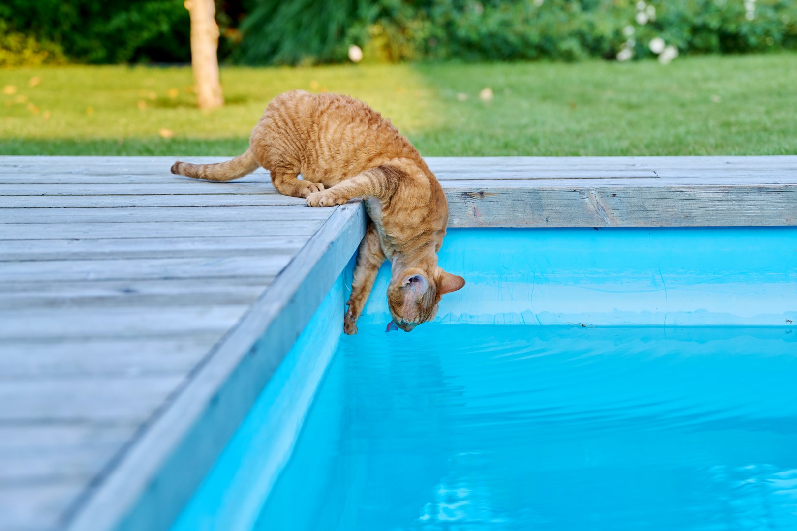 Todeszone Swimmingpool
