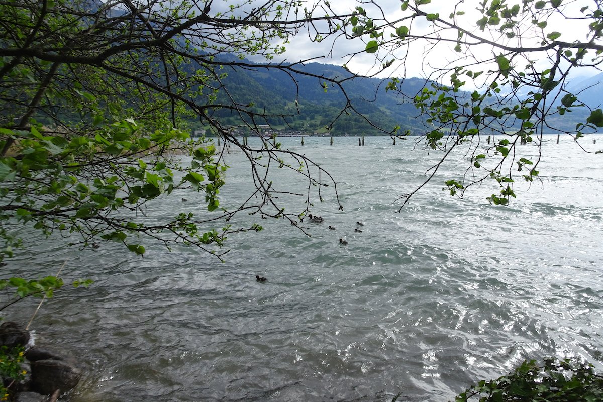 Wanderung im Berner Oberland: Burgruinen, Naturwunder und Drachenhöhle