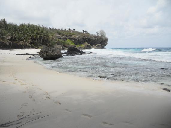 dolly_beach.JPG