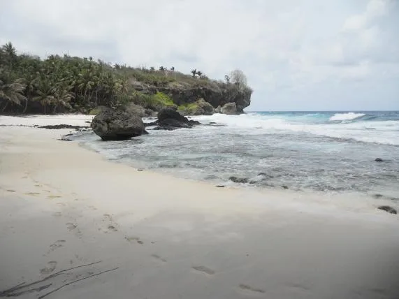 9767af9820ceb165d175a058f6eba947f709d107 dolly_beach.JPG