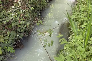 In Greng (FR) liefen im April 2026 mehrere Liter Milch in den Dybach und verschmutzten das Wasser über hunderte Meter hinweg.