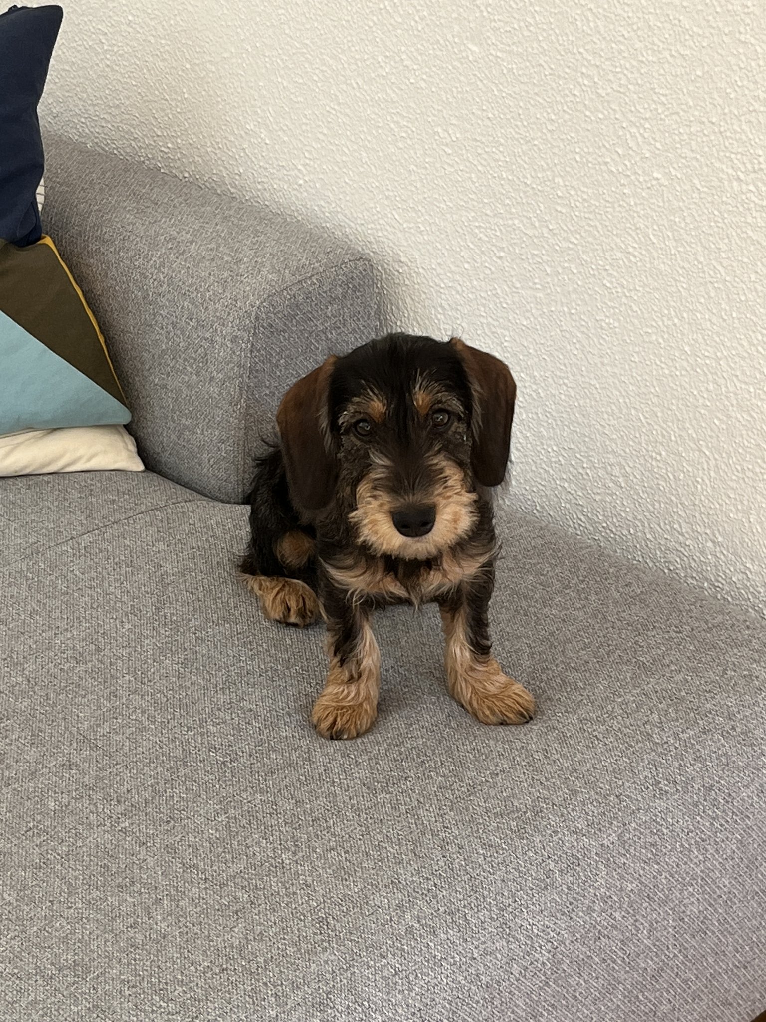 Der erste Tag im neuen Zuhause