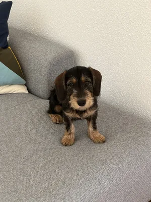 Frieda lebte sich überraschend schnell im neuen Heim ein.