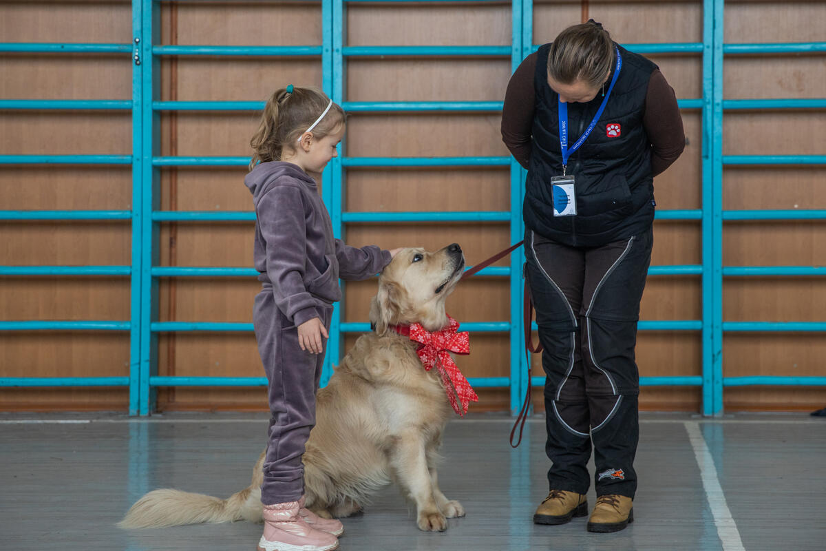 Hund Parker hilft ukrainischen Kindern den Krieg zu verarbeiten