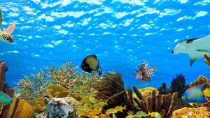 Wie warm ist das Meer? Eine neue Messmethode soll darüber Aufschluss geben.