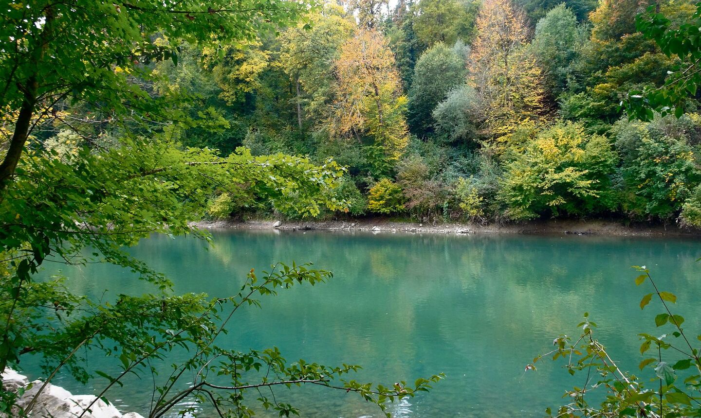 Eine andere Welt bei Bern: Die Aareschlaufe um die Engehalbinsel.