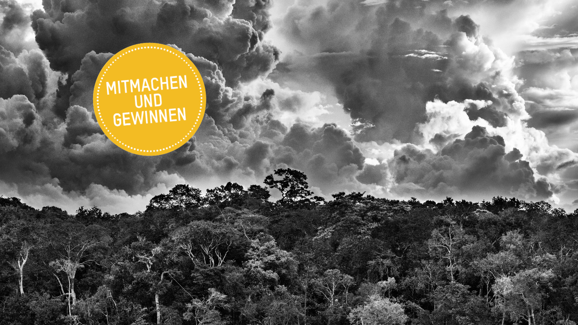 Wir verlosen 2x2 Tickets für die Fotoausstellung von Sebastião Salgado