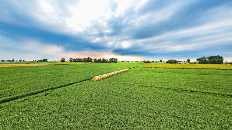 Landwirtschaft5.jpg