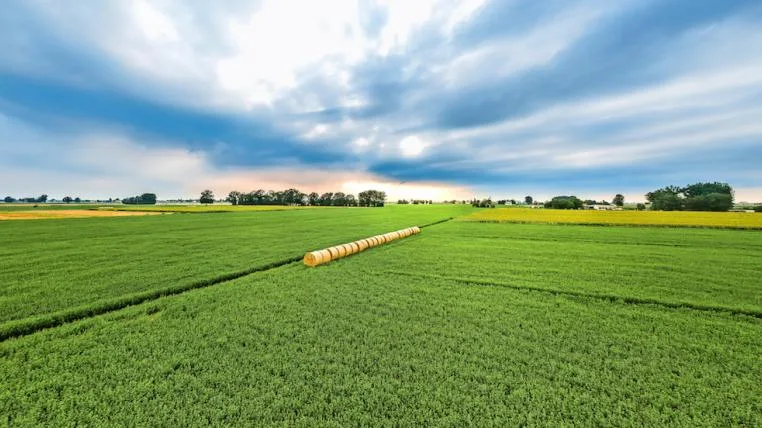 8d1db6bcdc77f4dfae682ffcb1c5dcf1a379dd5c Landwirtschaft5.jpg