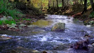 Die Entnahme von Wasser aus Flüssen im Thurgau wird beschränkt.