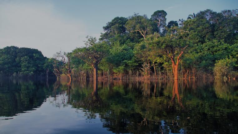 Szene aus dem Amazonas