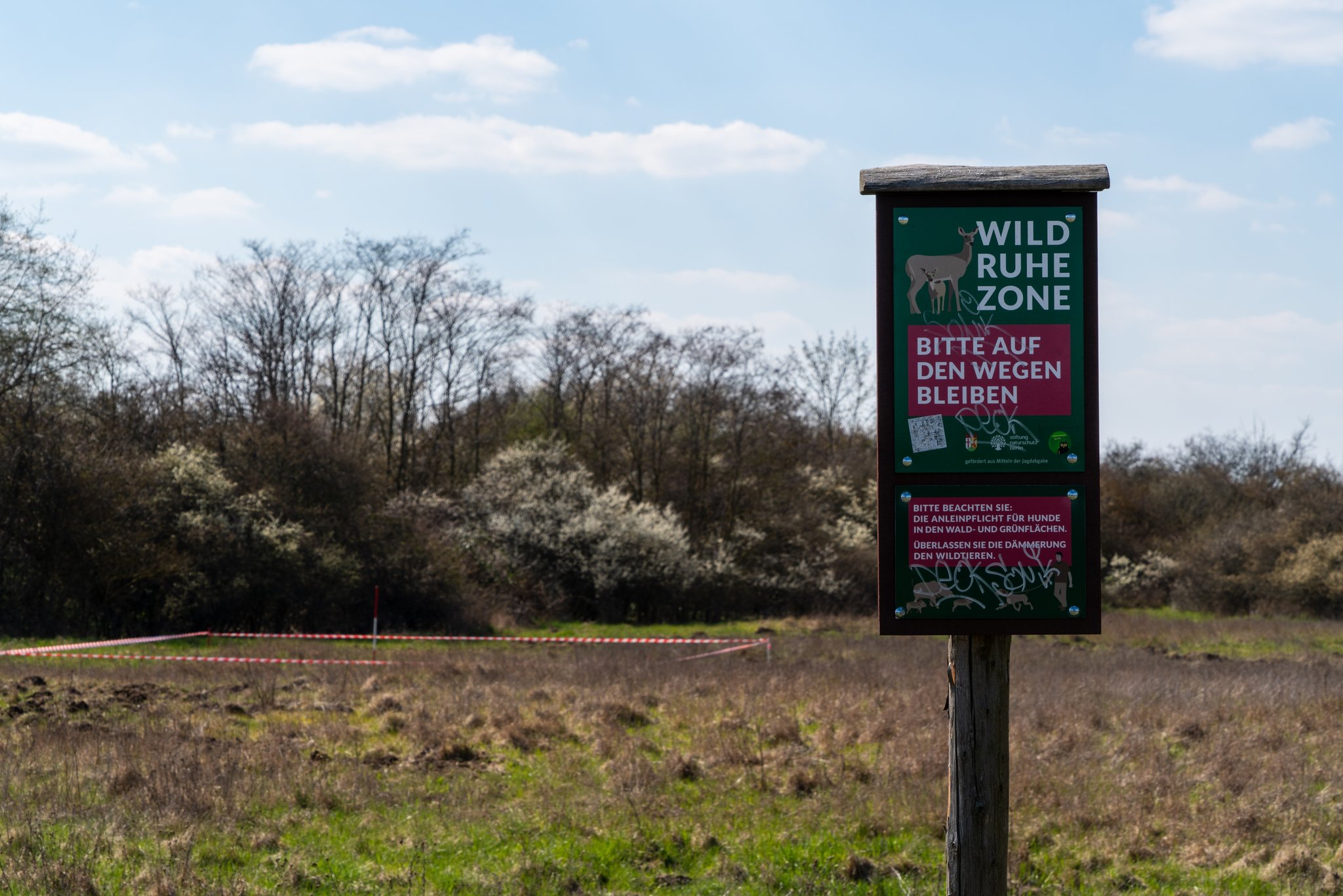 Wildtiere beobachten ohne Störfaktor